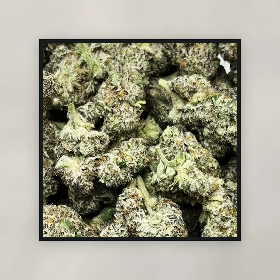 Black Magic hemp THCA flower by the pound, top-down on concrete, greenhouse