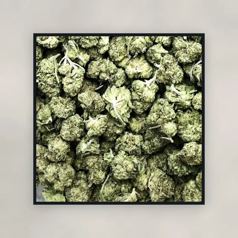 Blue Dream hemp THCA flower by the pound, top-down on concrete, light-dep