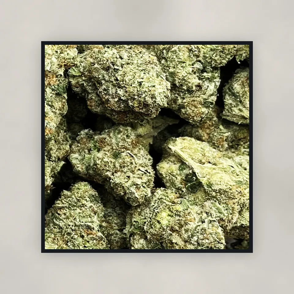 Blue Meteorite hemp THCA flower by the pound, top-down on concrete, greenhouse