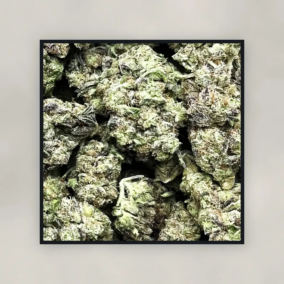 GMO hemp THCA flower by the pound, top-down on concrete, light-dep