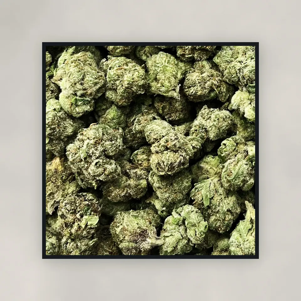 LFG hemp THCA flower by the pound, top-down on concrete, greenhouse