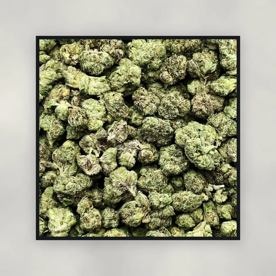 A pound of LFG hemp THCA flower on concrete, greenhouse