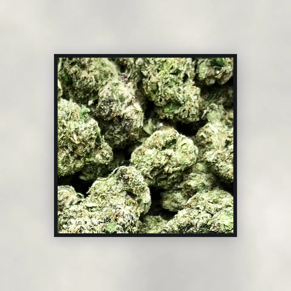 A pound of Lipsmackers hemp THCA flower on concrete, light-dep
