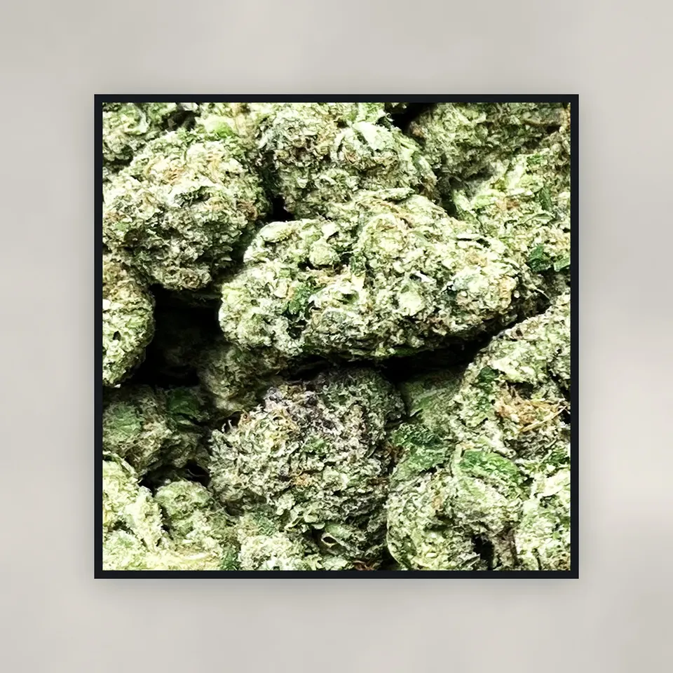 Lipsmackers hemp THCA flower by the pound, top-down on concrete, light-dep