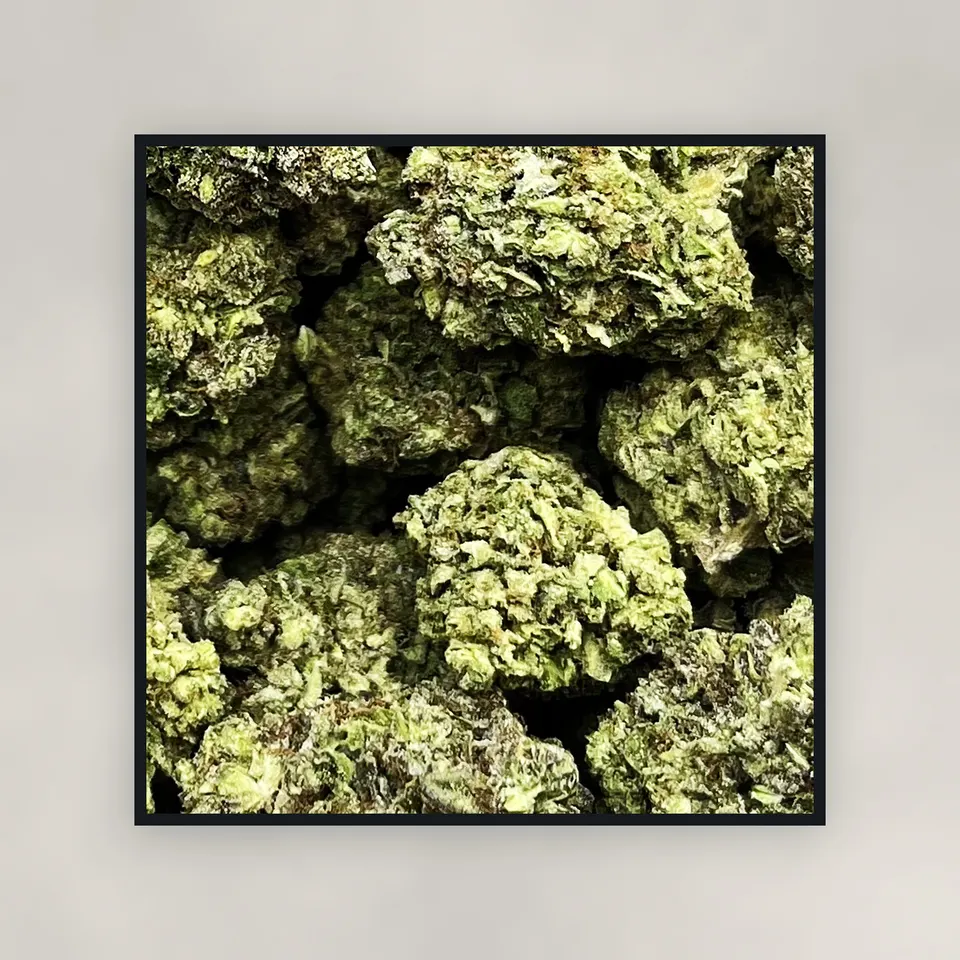 Modified Sunset hemp THCA flower by the pound, top-down on concrete, light-dep