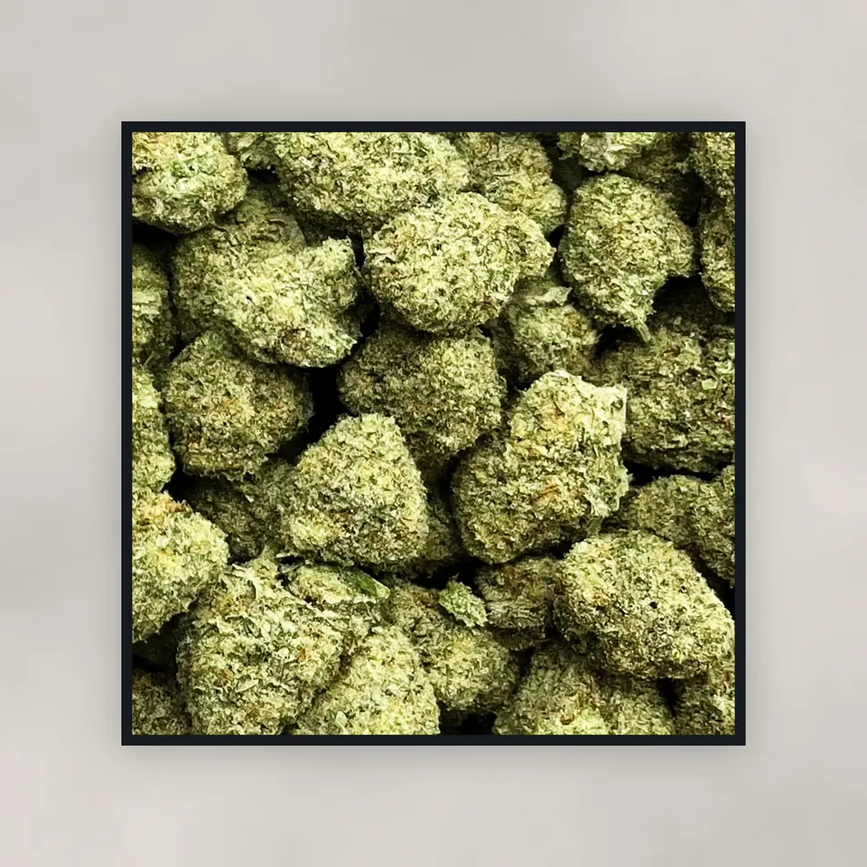 Papaya Punch hemp THCA flower by the pound, top-down on concrete, greenhouse