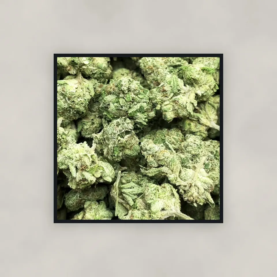 Sherpa 369 hemp THCA flower by the pound, top-down on concrete, greenhouse