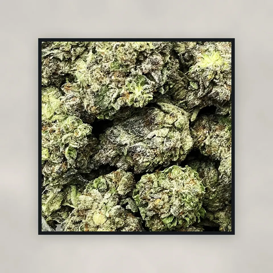Wedding Pie hemp THCA flower by the pound, top-down on concrete, greenhouse
