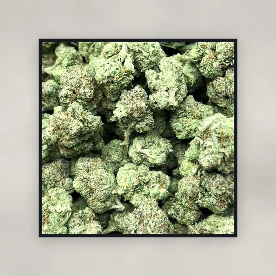 White Russian hemp THCA flower by the pound, top-down on concrete, light-dep